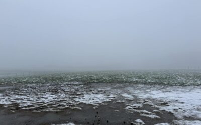 Bodegems Kampioenschap Cross